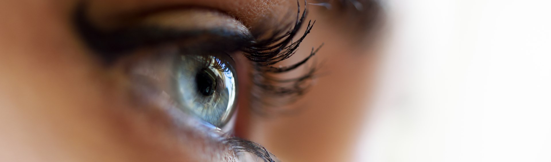 Close-up of young woman’s blue eyes with long eyelashes. Make-eye